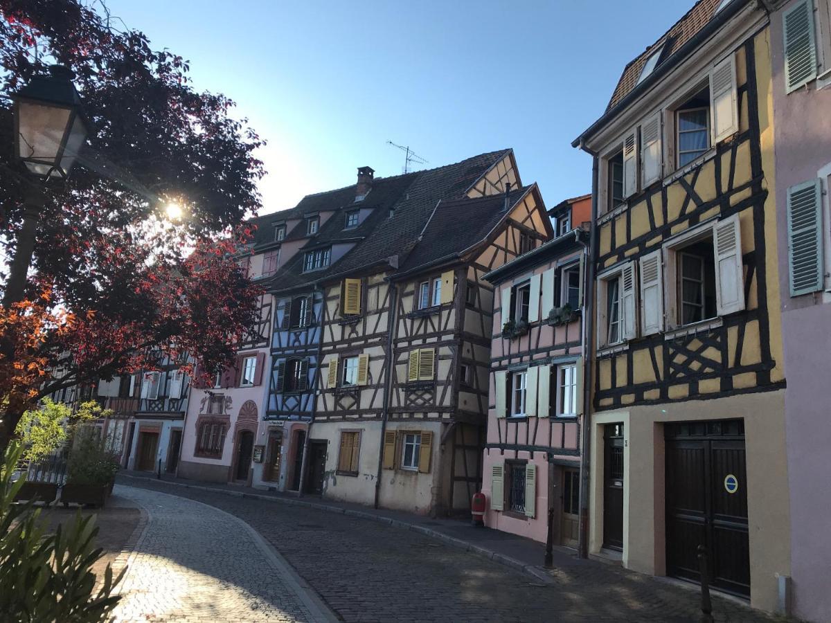 Ferienwohnung Le Coin De Frederic Colmar Exterior foto